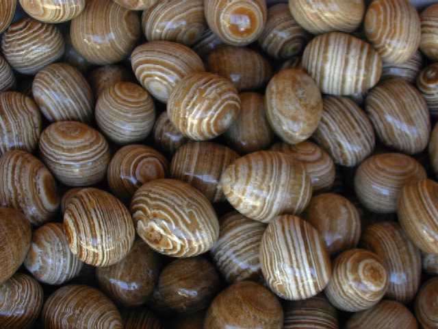 Eggs -Travertine Onyx