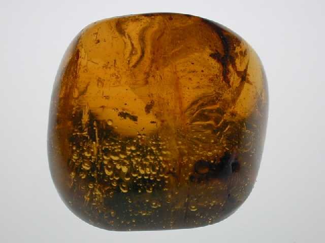 Yellow with insects: ant and mosquito