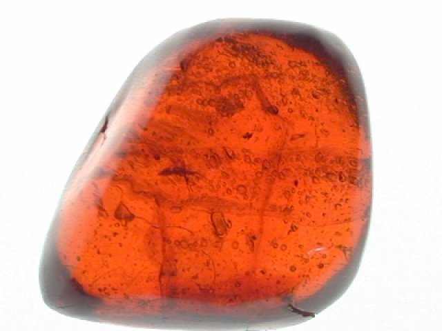 Red with tube flow pattern with insect: possibly a mosquito