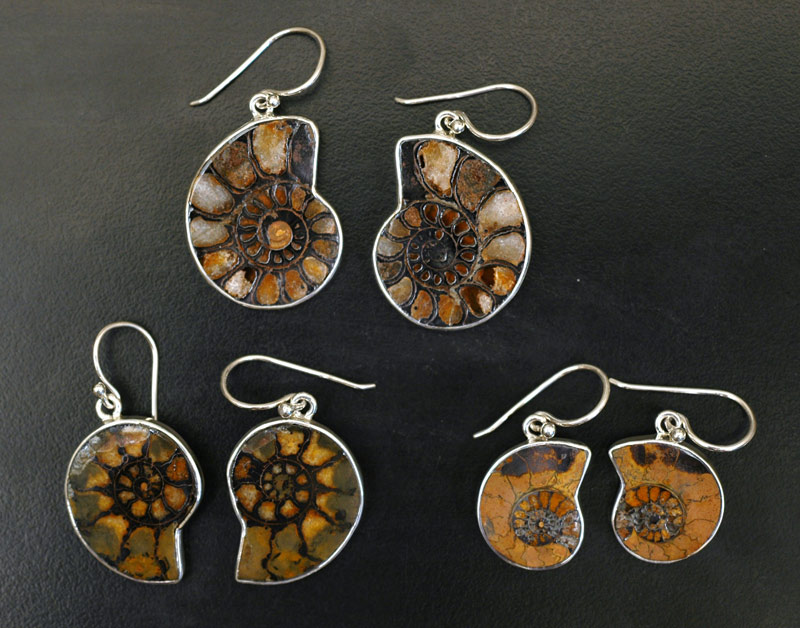 Ammonite Earrings