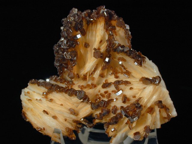 Vanadinite on Barite